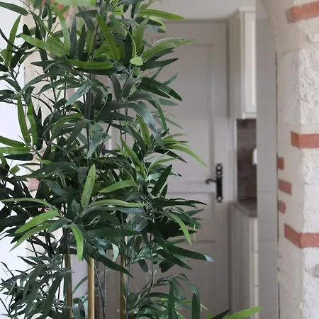 Ostalet De Canteperlic Holiday home Albi